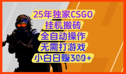 25年独家CSGO挂G搬砖，全自动操作，无需打游戏，小白日入3张+【揭秘】-九才资源网