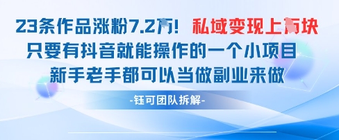 抖音私域项目23条作品涨粉7.2W，私域变现1W-九才资源网