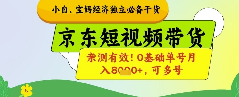 小白宝妈经济独立必备干货，京东短视频带货，亲测有效!0基础单号月入8k+，可多号【揭秘】-九才资源网
