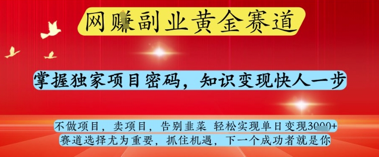 网创副业黄全赛道，掌握独家项目密码，知识变现快人一步，告别韭菜轻松实现单日变现1k+【揭秘】-九才资源网