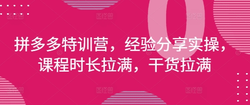 拼多多特训营，经验分享实操，课程时长拉满，干货拉满(更新25年4月)-九才资源网