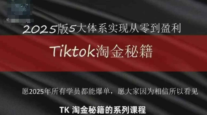 TikTok跨境2025淘金秘籍，​2025TikTok从0到盈利变现-九才资源网