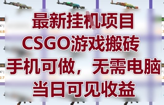 最新挂G项目，CSGO游戏搬砖，手机可做，无需电脑，当日见收益【揭秘】-九才资源网