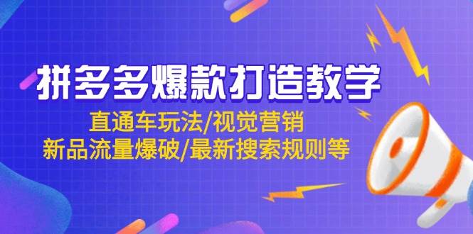 （14681期）拼多多爆款打造教学：直通车玩法/视觉营销/新品流量爆破/最新搜索规则等-九才资源网