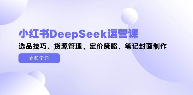 小红书DeepSeek运营课，选品技巧、货源管理、定价策略、笔记封面制作-九才资源网