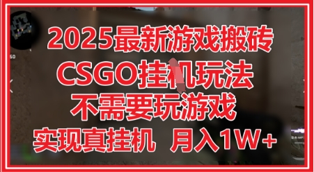 2025最新游戏搬砖，CSGO挂G，不需要玩游戏，实现真挂G，月入1W+【揭秘】-九才资源网