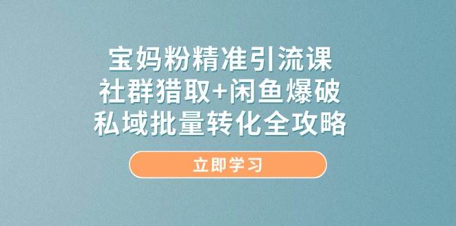 宝妈粉精准引流课，社群猎取+闲鱼爆破，私域批量转化全攻略-九才资源网