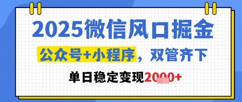 2025微信风口掘金，公众号+小程序双管齐下，单日稳定变现1k+【揭秘】-九才资源网