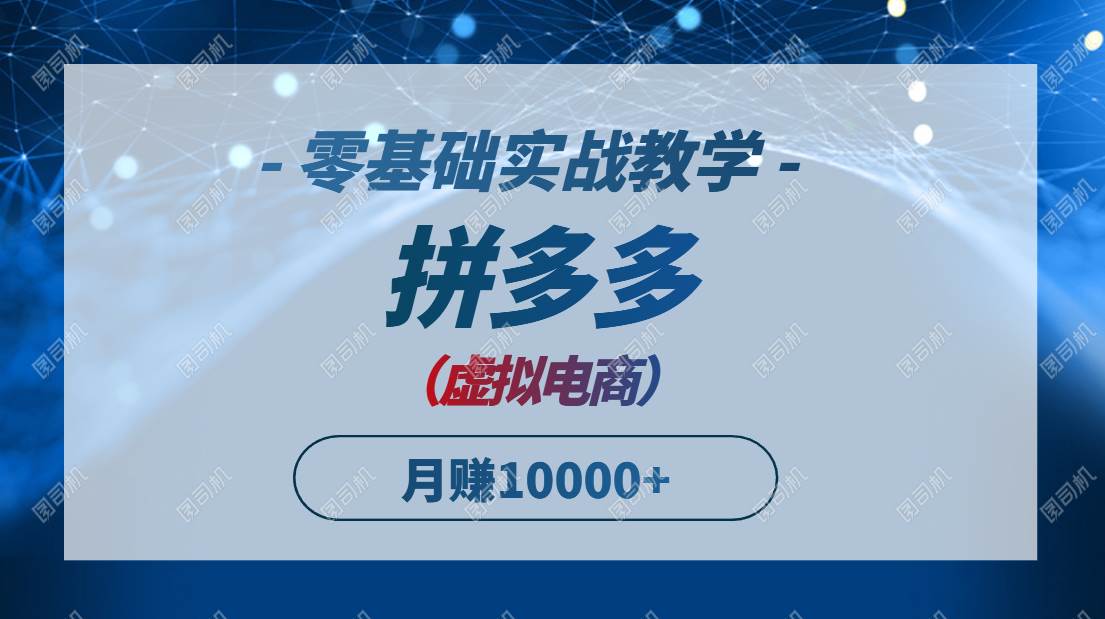 （14880期）拼多多虚拟电商，零基础实战教学，快速打爆商品，新手也能月入10000+-九才资源网