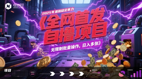 全网首发，2025年最新稳定暴力全自动自撸项目，无限制批量操作，日入多张【揭秘】-九才资源网