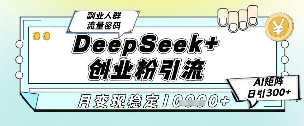 DeepSeek+创业粉精准引流，全新分享课4.0玩法，AI矩阵日引300+，多种变现方式，稳定月入1W-九才资源网