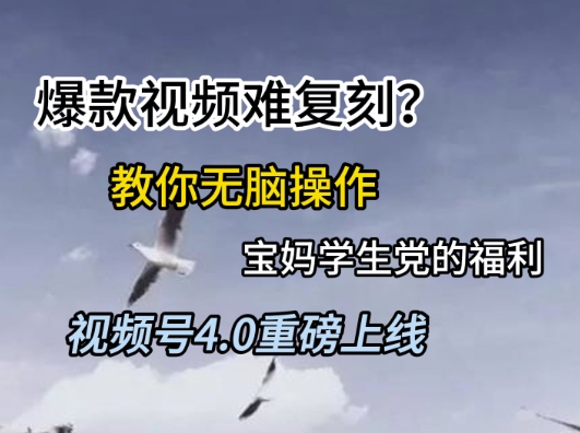 视频号4.0重磅上线，爆款视频难复刻？教你无脑操作宝妈学生党的福利【揭秘】-九才资源网