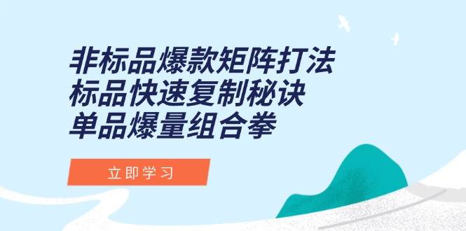 （15068期）非标品爆款矩阵打法，标品快速复制秘诀，单品爆量组合拳-九才资源网