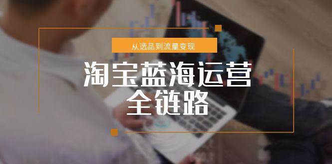 （15160期）淘宝蓝海运营全链路，从选品到流量变现，小类目突围完整方案-九才资源网