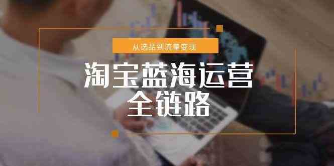 淘宝蓝海运营全链路，从选品到流量变现，小类目突围完整方案-九才资源网
