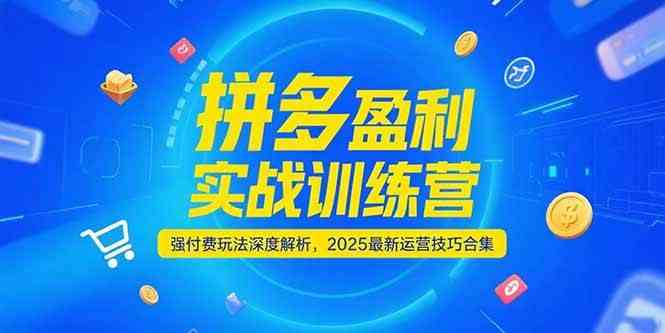 拼多多盈利实战训练营，强付费玩法深度解析，2025最新运营技巧合集-九才资源网