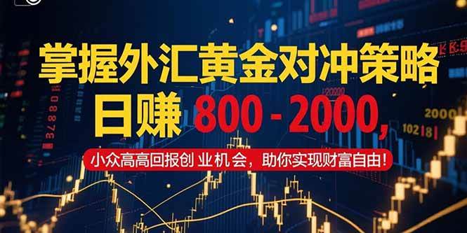 （15198期）掌握外汇黄金对冲策略，日赚 800 – 2000，小众高回报创业机会，助你实…-九才资源网