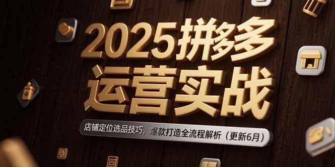 （15235期）2025拼多多运营实战：店铺定位选品技巧，爆款打造全流程解析（更新6月）-九才资源网