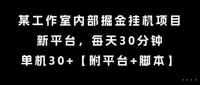某工作室内部掘金挂G项目，新平台，每天30分钟，单机30+【揭秘】-九才资源网