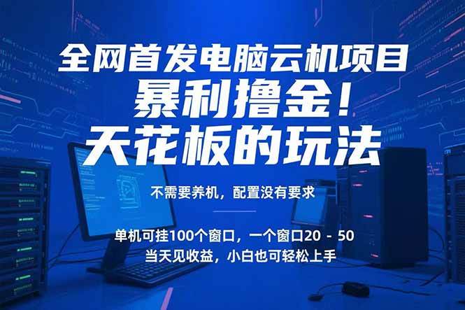 （15323期）电脑云机项目 暴力撸金玩法，不需要养机 配置没有要求 单机100个窗口一…-九才资源网