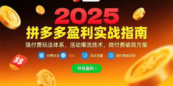 （15357期）拼多多盈利实战指南，强付费玩法，活动爆流技术，微付费破局方案(更新7月)-九才资源网