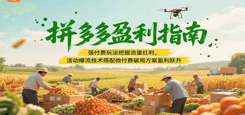 拼多多盈利指南：强付费玩法挖掘流量红利，活动爆流技术搭配微付费方案实现盈利跃升-九才资源网