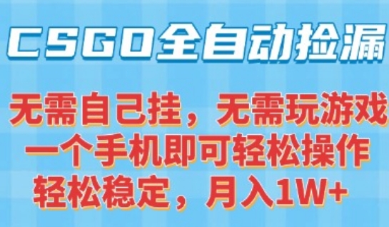 CSGO自动捡漏项目，最新独家玩法，一个手机可操作，新手小白轻松月入1W+，操作简单易上手【揭秘】-九才资源网