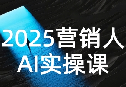 2025营销人Al实操课，AI营销抢跑实战，从Prompt到方案，效率碾压同行-九才资源网