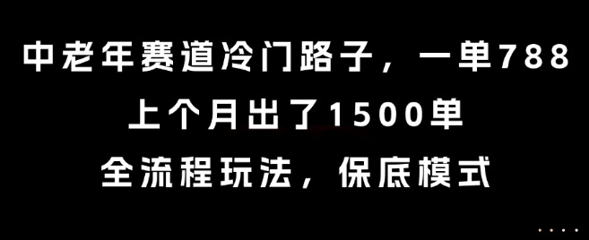 中老年赛道冷门路子，一单788，上个月出了1500单，全流程玩法，保底模式【揭秘】-九才资源网