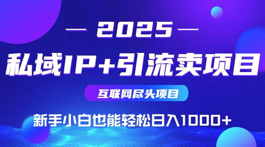 （15531期）2025网创尽头项目，私域IP+引流，新手小白也能在家日入1000+-九才资源网