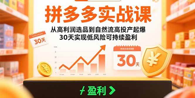 （15586期）拼多多实战课：从高利润选品到自然流高投产起爆 30天实现低风险可持续盈利-九才资源网