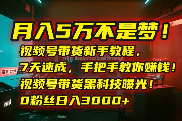 （15595期）月入5万不是梦！视频号带货新手教程，7天速成，手把手教你赚钱！视频号…-九才资源网
