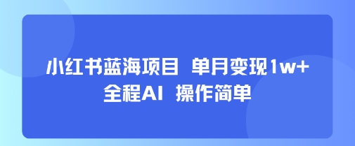 小红书蓝海项目 单月变现1w+ 全程AI 操作简单-九才资源网