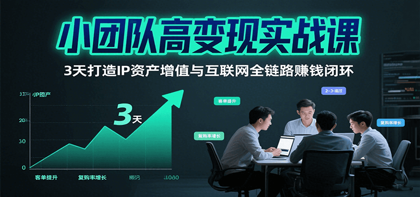 小团队高变现实战课，3天打造IP资产增值与互联网全链路赚钱闭环（第二期）-九才资源网