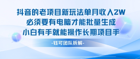 老项目新玩法单月收入2W小白有手就能操作长期项目-九才资源网