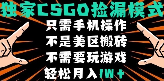 CSGO自动捡漏项目，最新独家玩法，不是美区搬砖，不需要了解和玩游戏，新手小白轻松月入1W+【揭秘】-九才资源网