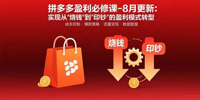 （15771期）拼多多盈利必修课-8月更新：突破运营瓶颈 实现从烧钱到印钞的盈利模式转型-九才资源网