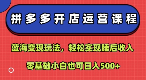 拼多多开店运营课程：蓝海变现玩法，轻松实现睡后收入，零基础小白也可日入5张-九才资源网