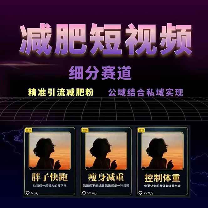 图片[2]-减肥短视频运营实战课：含素材制作、剪映教学，讲精准引流、变现设计与内容模板技巧-九才资源网