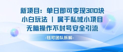 新项目单日即可变现3张的小白玩法无脑操作不封号安全引流-九才资源网