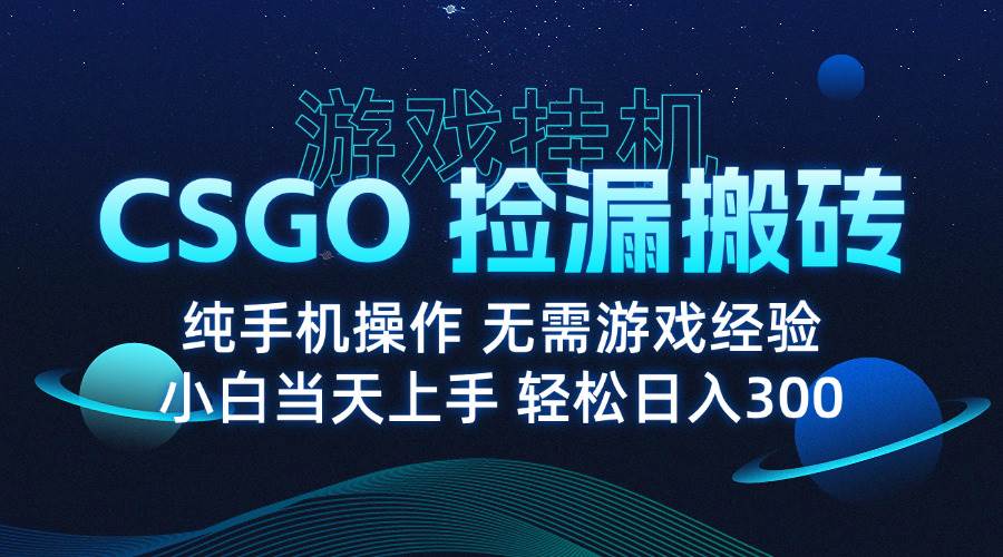 （15820期）8月最新游戏搬砖，CSGO纯挂机，不需要玩游戏，实现真挂机，月入1W+-九才资源网