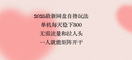 2025最新网盘自撸玩法，单机每天稳下3张，无需流量和拉人头，一个人就可轻松矩阵，全网独一份【揭秘】-九才资源网