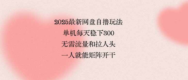 （15831期）2025最新网盘自撸玩法，单机每天稳下3张，无需流量和拉人头，一个人就…-九才资源网