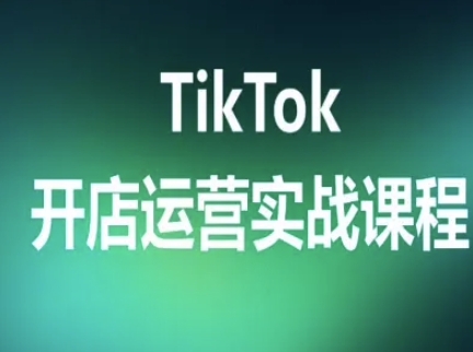 TikTok开店运营实战课程，TK跨境电商实操全流程-九才资源网