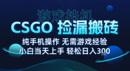 8月最新游戏搬砖，CSGO纯挂G，不需要玩游戏，实现真挂G，月入1W+【揭秘】-九才资源网