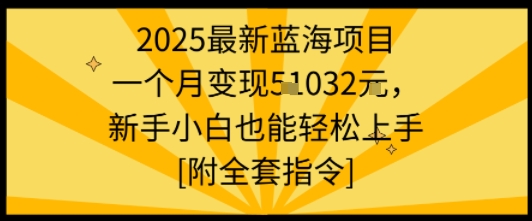 2025最新蓝海项目一个月变现1w+新手小白也能轻松上手【附全套指令】-九才资源网