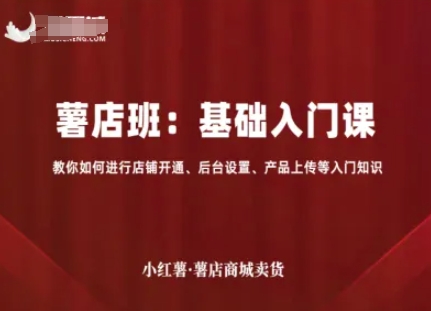 小红薯薯店商城卖货，基础入门课，教你如何进行店铺开通、后台设置、产品上传等入门知识-九才资源网