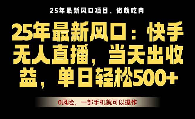 （16007期）25年最新无人直播玩法，当天秒出单，一部手机就可操作-九才资源网