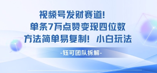 视频号发财赛道单条7W点赞变现四位数方法简单易复制小白玩法-九才资源网