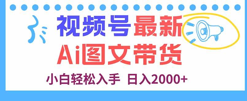 （16092期）视频号最新AI图文带货，每天几分钟，小白轻松入手，日入2000+-九才资源网